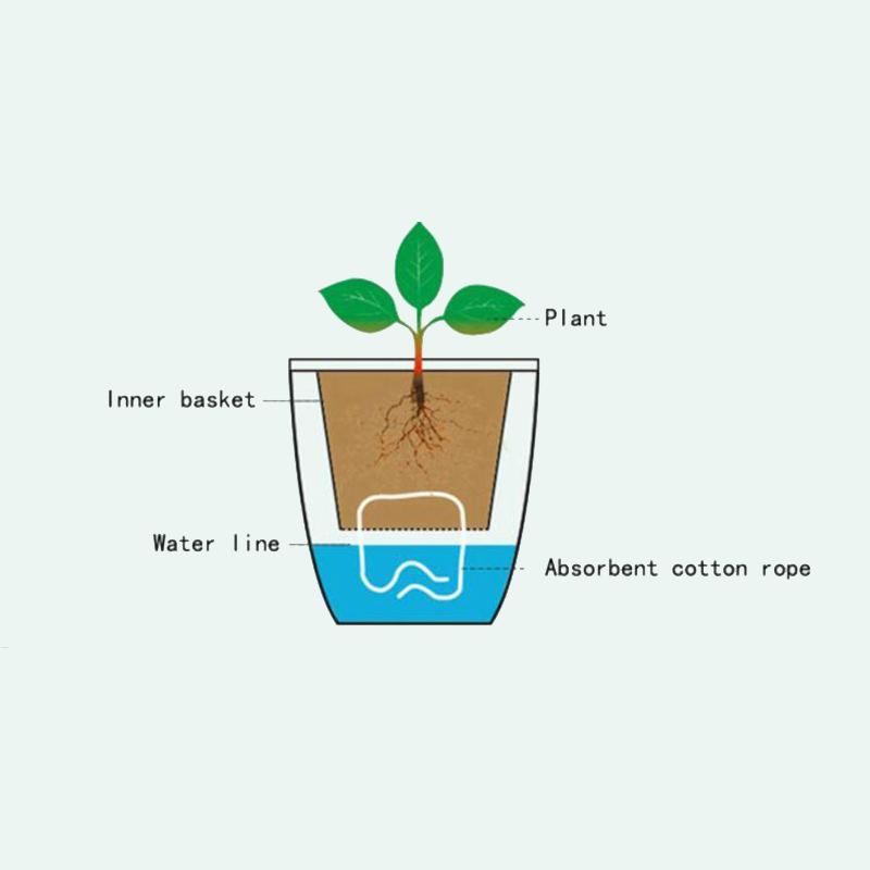 Desk Setup Plant - Vaso de Flores Automático Lazy Flower,