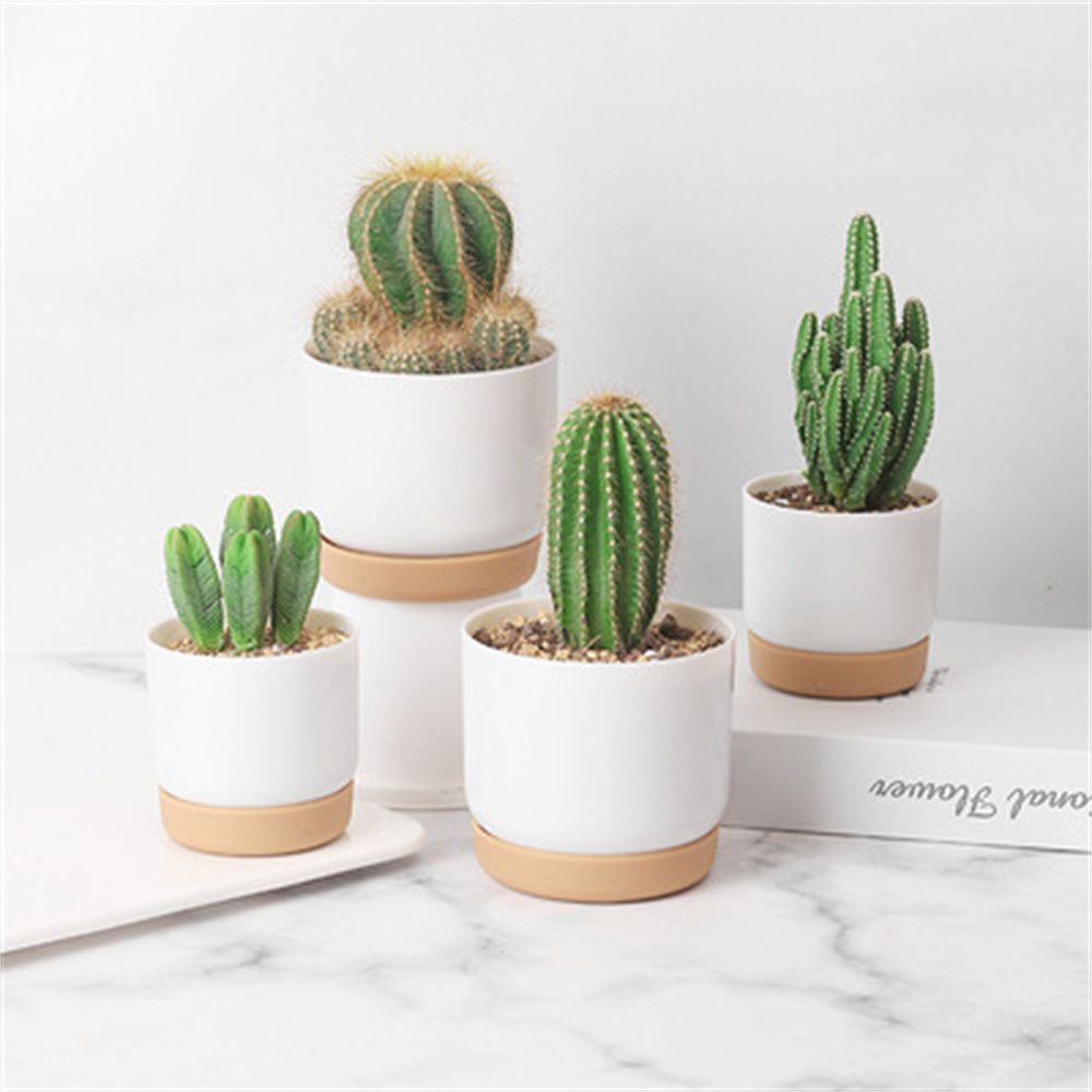 Vaso de Flores Autoirrigável p - Desk Setup Plant avaliação e preço
