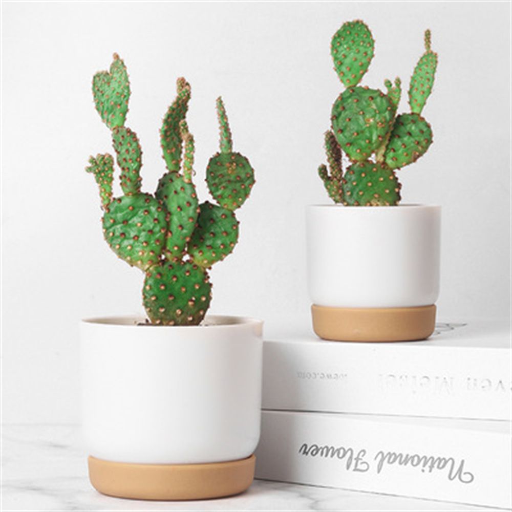 Vaso de Flores Autoirrigável p - Desk Setup Plant avaliação e preço