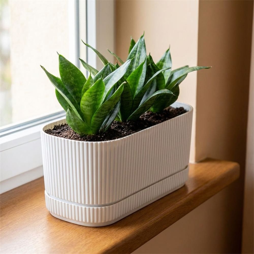 Vaso de Plástico Autoirrigável - Desk Setup Plant avaliação e preço