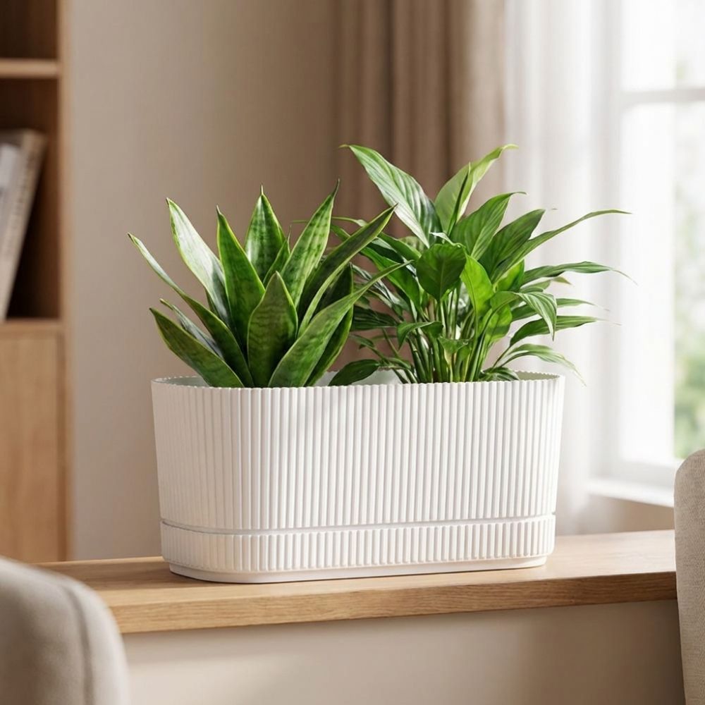 Vaso de Plástico Autoirrigável - Desk Setup Plant avaliação e preço