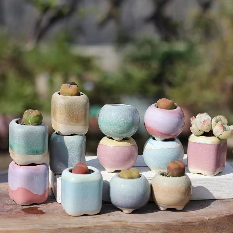 6 pçs mini vaso de flores sucu - Desk Setup Plant avaliação e preço