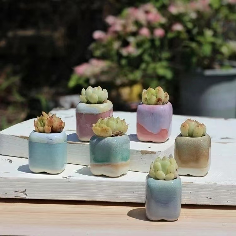 6 pçs mini vaso de flores sucu - Desk Setup Plant avaliação e preço